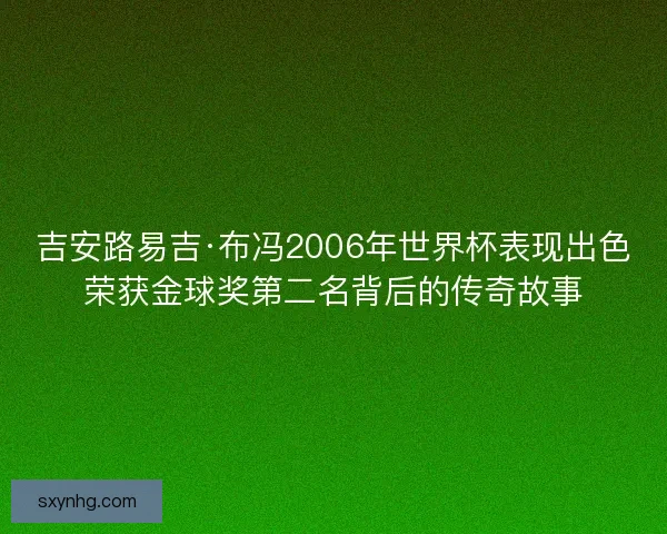 吉安路易吉·布冯2006年世界杯表现出色荣获金球奖第二名背后的传奇故事