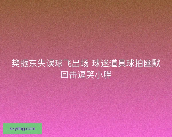 樊振东失误球飞出场 球迷道具球拍幽默回击逗笑小胖