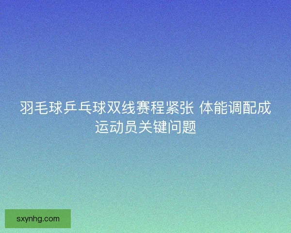羽毛球乒乓球双线赛程紧张 体能调配成运动员关键问题