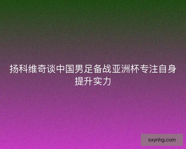 扬科维奇谈中国男足备战亚洲杯专注自身提升实力