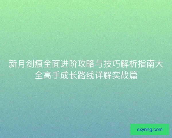 新月剑痕全面进阶攻略与技巧解析指南大全高手成长路线详解实战篇